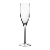 Bauscher Hepp 06105/20 - Champagne Flute Glass, 6-3/4 Oz., 7-5/8"H