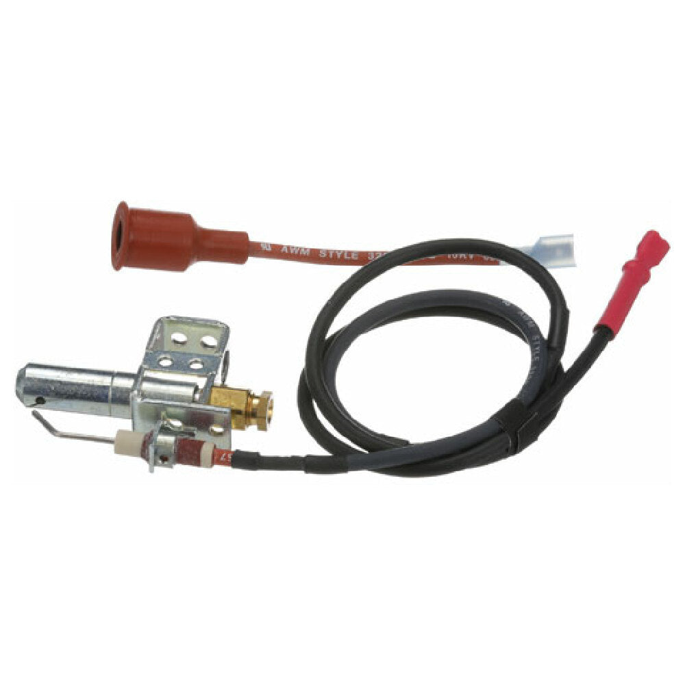 Johnson Controls J989DDW Burner Ignitor