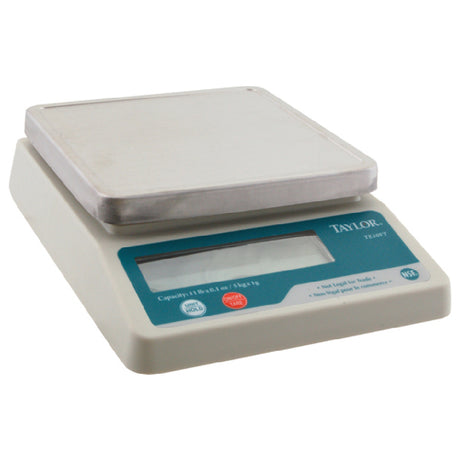 Taylor Thermometer TE10C Scale Portion Digital