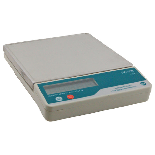 Taylor Thermometer TE22FT 7.2 Sq In Portion Scale