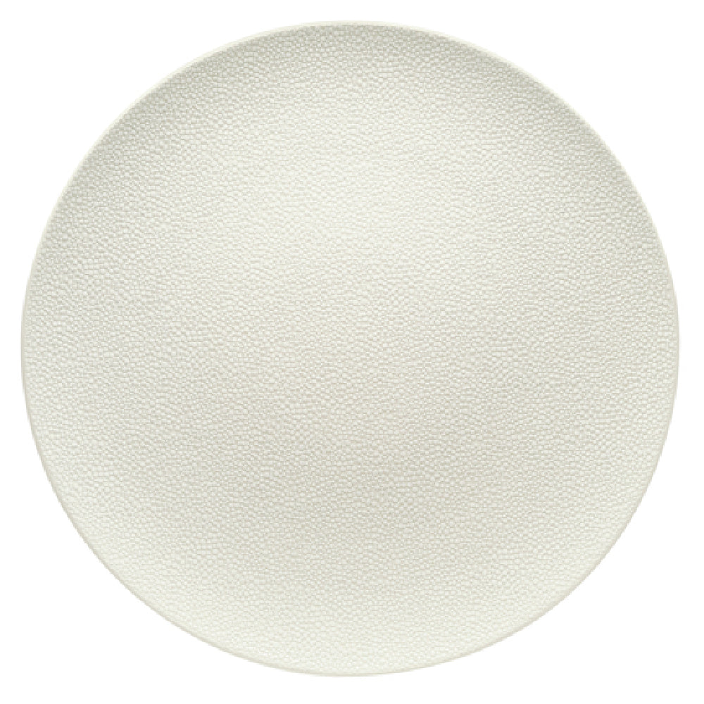 Bauscher Hepp 691224-425689 - Plate, 9-1/2" Dia., Round