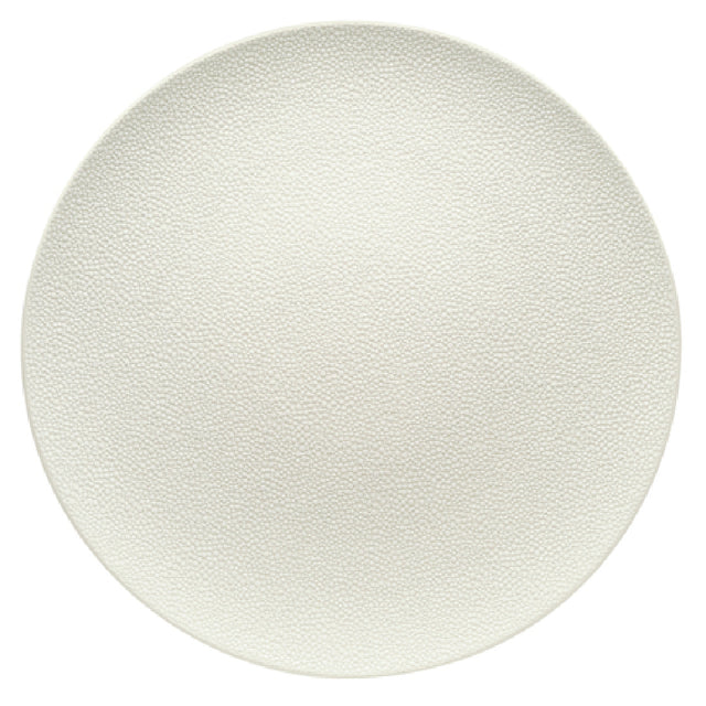 Bauscher Hepp 691224-425689 - Plate, 9-1/2" Dia., Round