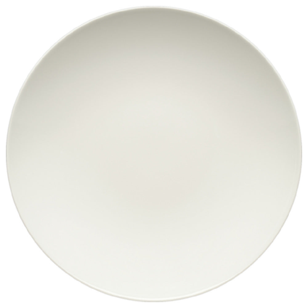 Bauscher Hepp 691324-425693 - Plate, 9.4" Dia., Deep