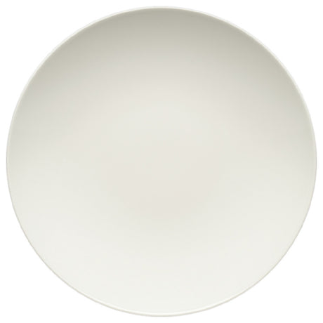 Bauscher Hepp 691324-425693 - Plate, 9.4" Dia., Deep