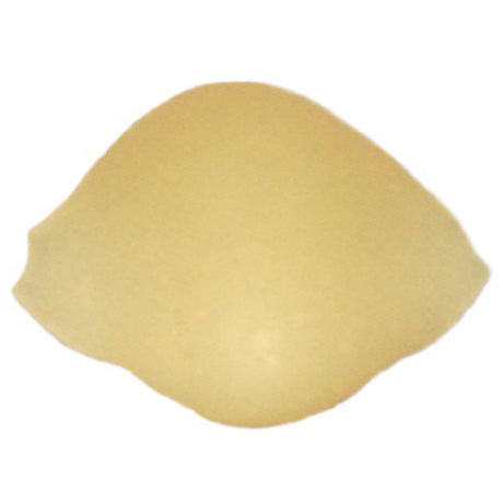 Arcobaleno Pasta Equipment AEX18 & AEX20#161 Extruder Die 21mm Shell