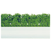 Bauscher Hepp D32 - Finishing Touches Parsley Divider, 23-1/2"L X 3-1/4"H, White PVC Base