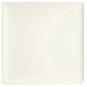 Bauscher Hepp 691520 - Plate, 7-9/10" X 7-9/10" X 4/5", Square