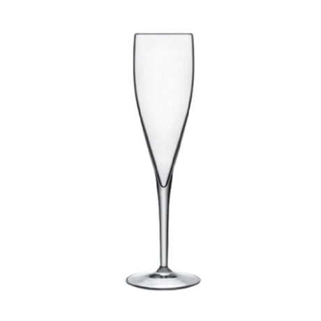 Bauscher Hepp 07648/05 - Champagne Glass, 6.25 Oz., Reinforced Rims