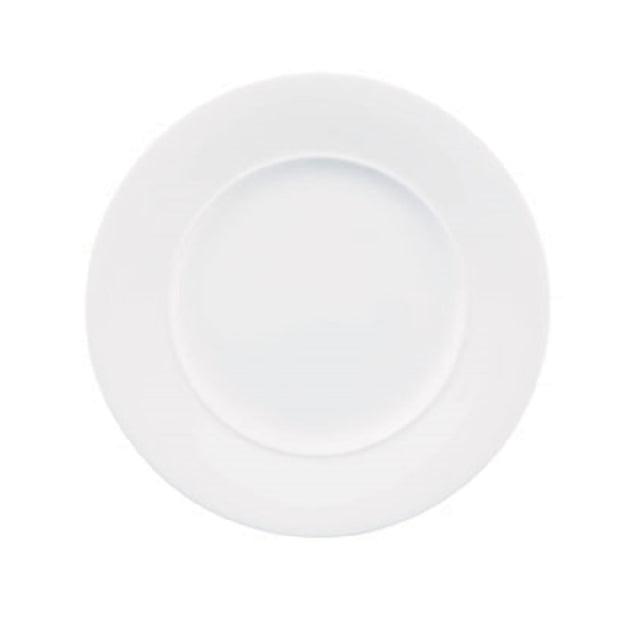 Churchill China APRAF1151 Plate 11" Dia. Round