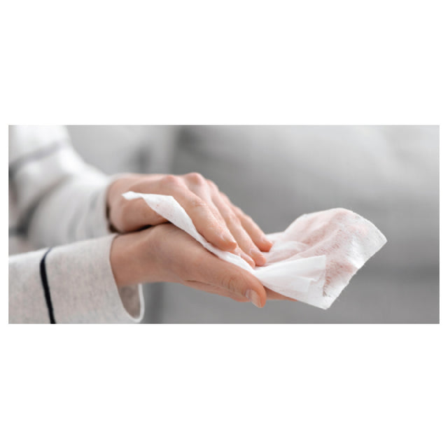 Carlisle 35022 WipesPlus® Hand Sanitizing Wipe Sachets White (1000 Wipes Per Sachet 1 Sachet Per Case)