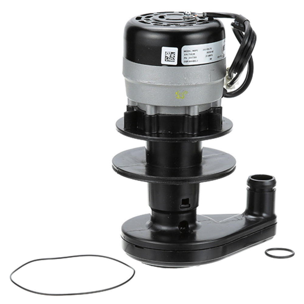 Manitowoc 20-0738-9 Water Pump 230v