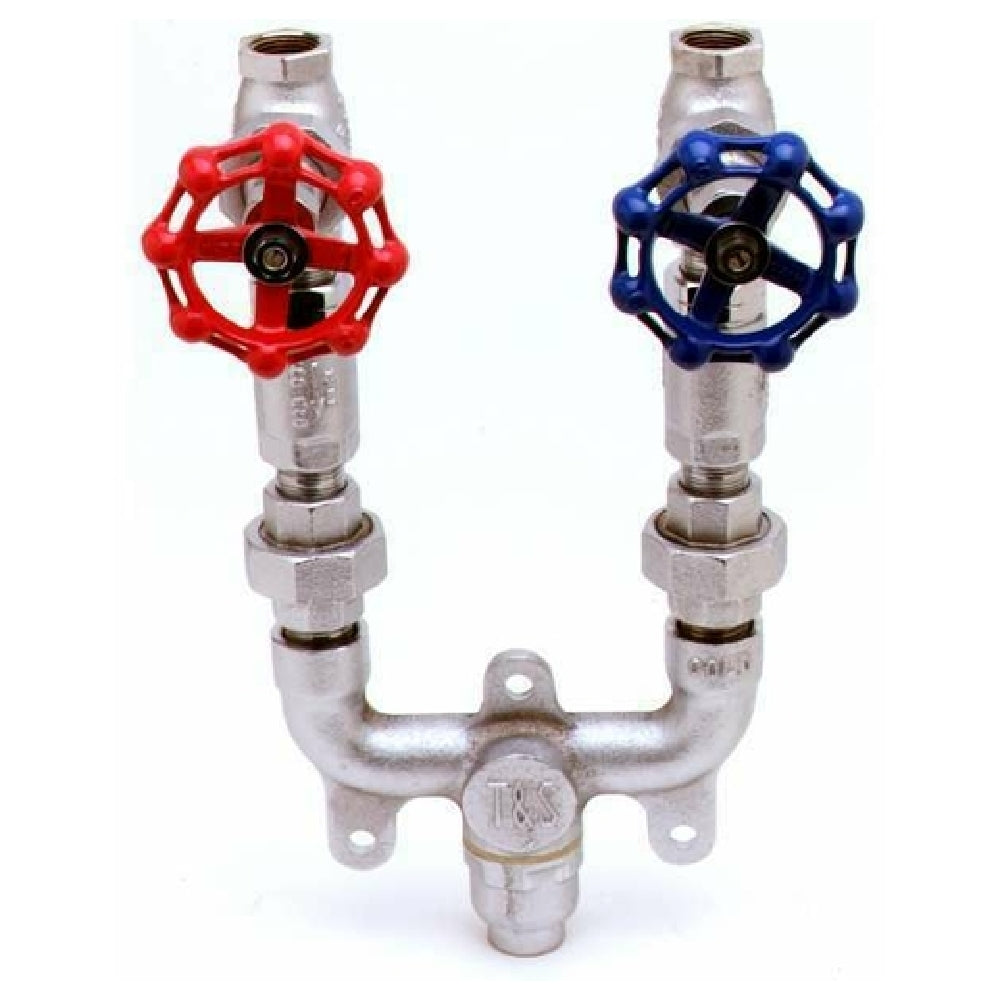 T&S Brass MV-0771-12C Mixing Valve Assembly 3/4" Check Valves 3/4" Globe Valve With Color Coded Handles