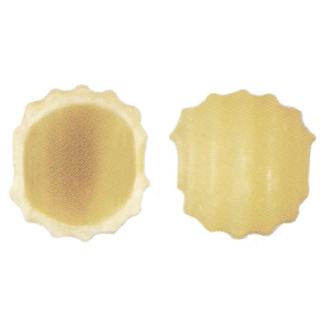 Arcobaleno Pasta Equipment AEX18 & AEX20#182 Extruder Die 18mm With Ridges