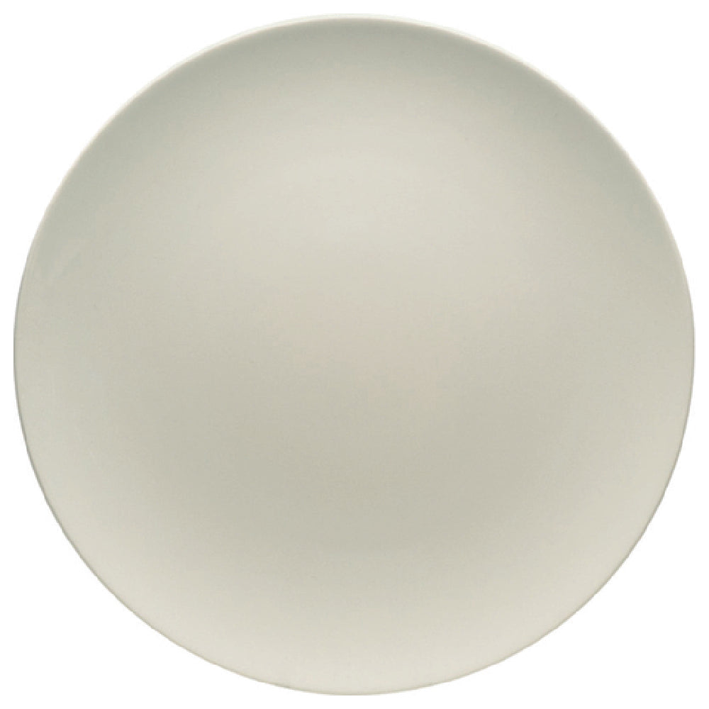 Bauscher Hepp 691224 - Plate, 9-1/2" Dia., Round