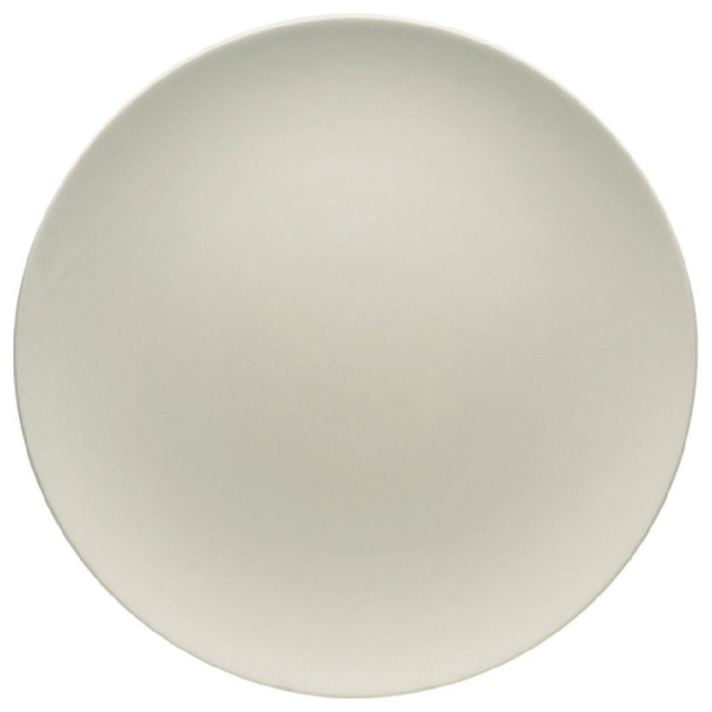 Bauscher Hepp 691224 - Plate, 9-1/2" Dia., Round