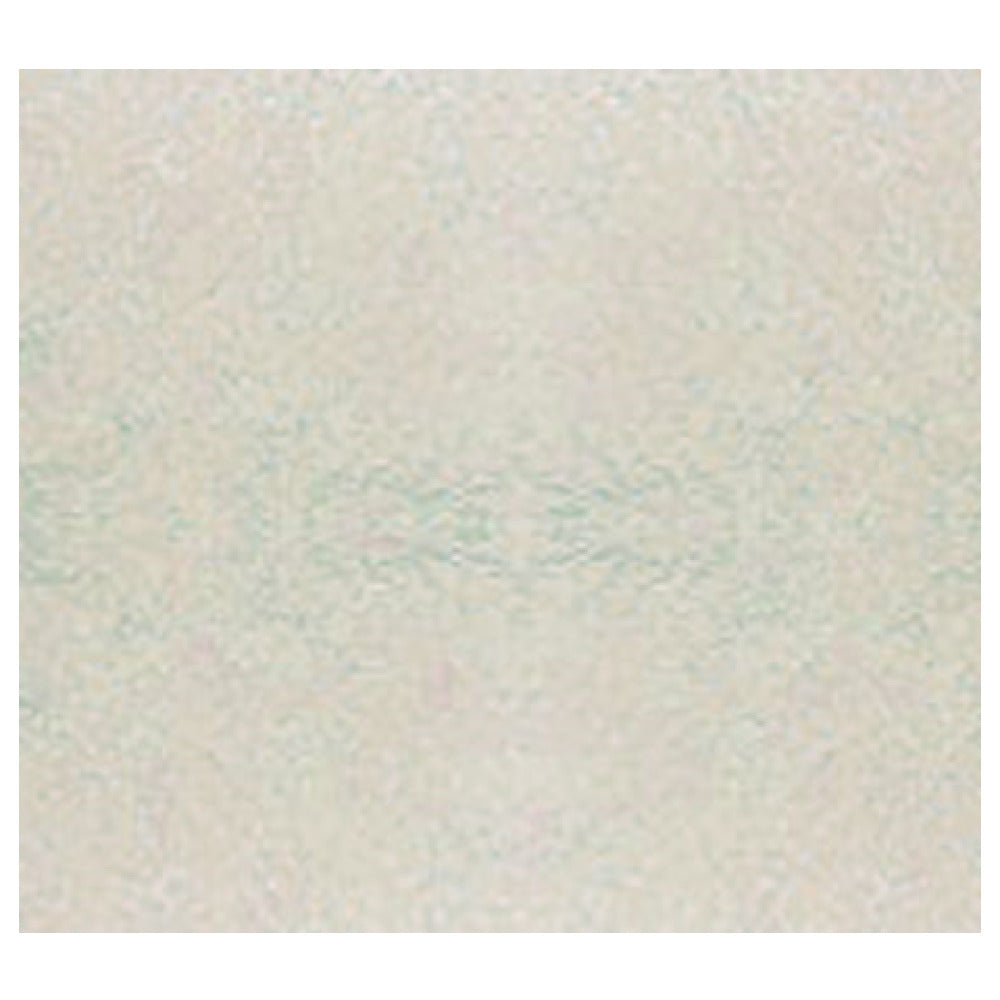 Cambro 1000531 - Serving Camtray®, 10" Dia., Round
