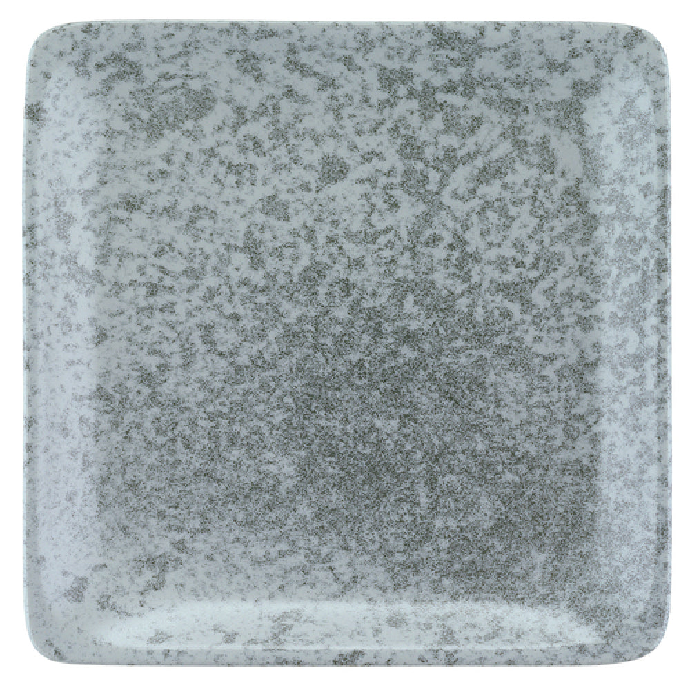 Bauscher Hepp 111529-425774 - Plate, 11.4" X 11.4", Square