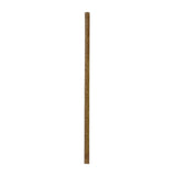 PacknWood 210CHCO19J - Jumbo Straws, 0.2" Dia. X 7.75"H, Compostable