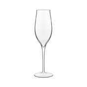 Steelite LB1183101 - Champagne Flute, 7.0 Oz, 2.625" X 4.25"
