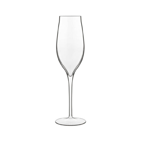 Steelite LB1183101 - Champagne Flute, 7.0 Oz, 2.625" X 4.25"