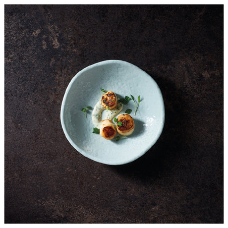 Bauscher Hepp TAQ4709 - Mineral Collection Plate, 8" Dia. X 1-3/4"H, Round