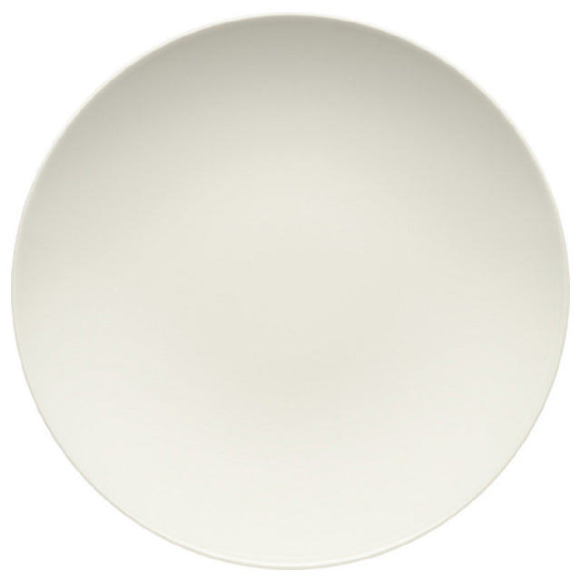 Bauscher Hepp 691329-425687 - Plate, 11.42" Dia., Deep