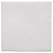 Franklin Machine Products 159-1173 Ceiling Tile 2' X 2' X 3/4" Mineral Fiber 16 Each Per Pack)