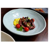 Bauscher Hepp TAQ4710 - Mineral Collection Plate, 11-3/4" Dia. X 2"H, Round