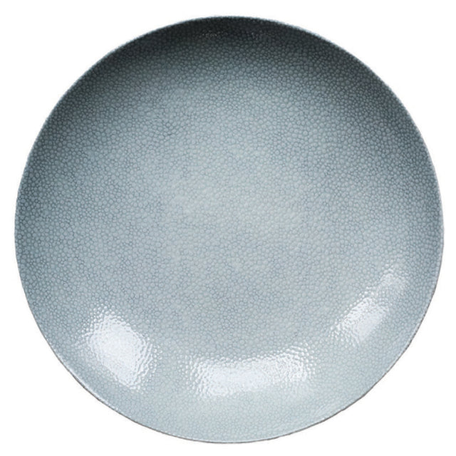 Bauscher Hepp 691324-425687 - Plate, 9-1/2" Dia., Round