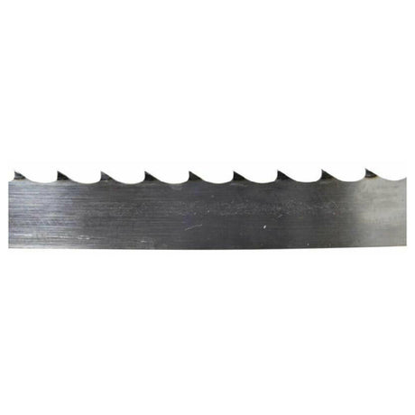 Omcan 10329 (10329) Band Saw Blade 73" 3 Teeth Per Inch