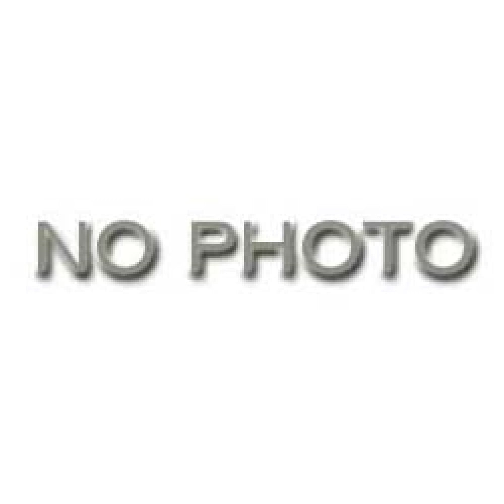 Garland 2485801 (OEM) Motor 115v 1/3hp 1700