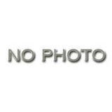 Garland 2485801 (OEM) Motor 115v 1/3hp 1700