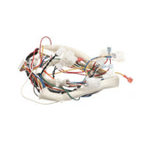 Pitco B6759501 Wrg Spinal Tap Lower Fb G