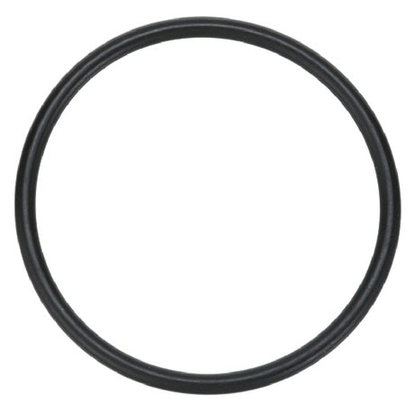 Manitowoc 000005583 O Ring Lower