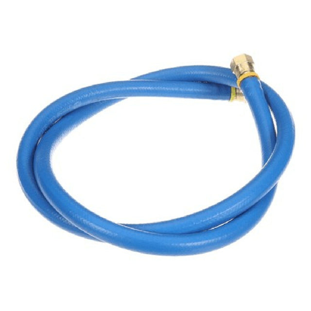 Champion 901270 Hose With Fittings Blue 8'