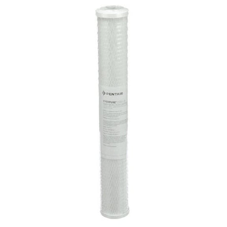 Everpure EV910863 Cg53 20