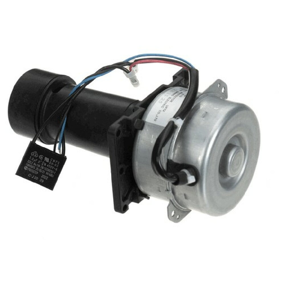 AllPoints 8081602 P00467 01 Pump Motor