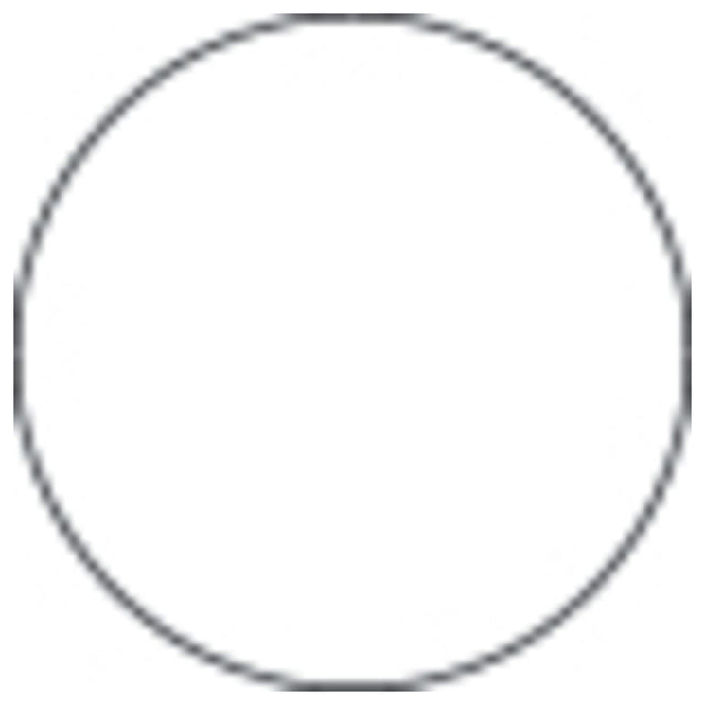 Hubert 20641 - Laser Labels, 1-5/8" Dia., Round