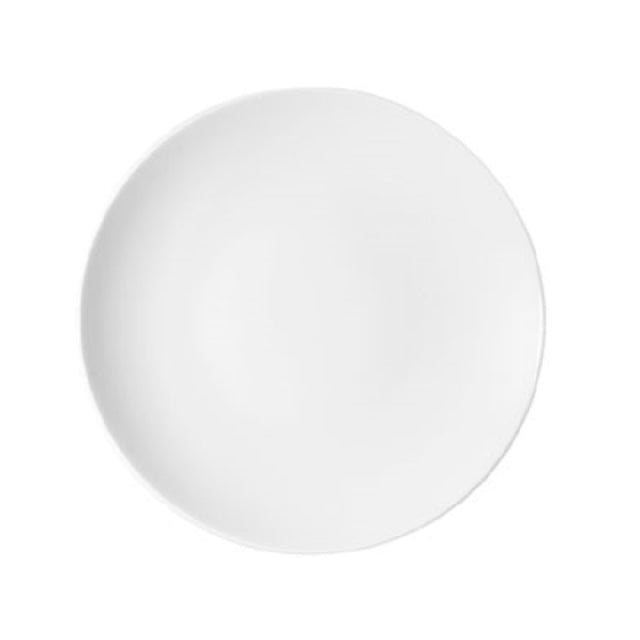 Bauscher Hepp 711424 - Plate, 21.97 Oz., 9.44" Dia.