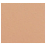 Cambro 1100117 - Serving Camtray®, Round, 11" Dia.