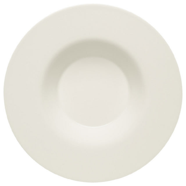 Bauscher Hepp 690129-425246 - Plate, 11.3" Dia., Deep With Rim