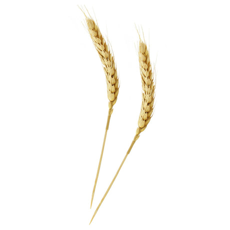 PacknWood 210BBWH15 - Wheat Skewer, 7.5", Assortment