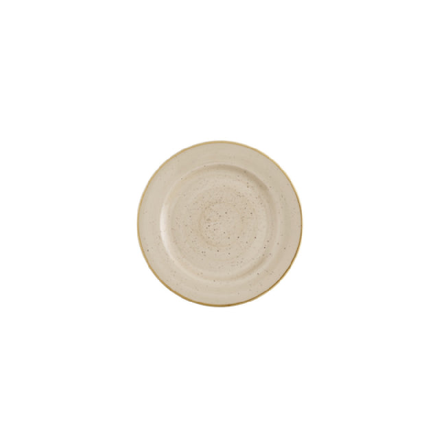 Churchill China SNMSVP111 - Plate, 12" Dia., Profile