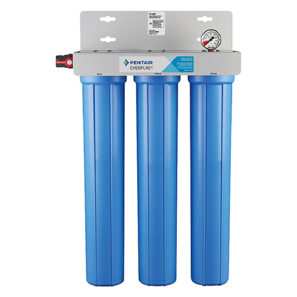 Everpure FX-22P+ FX Water Filtration System FX-22P+ Twin