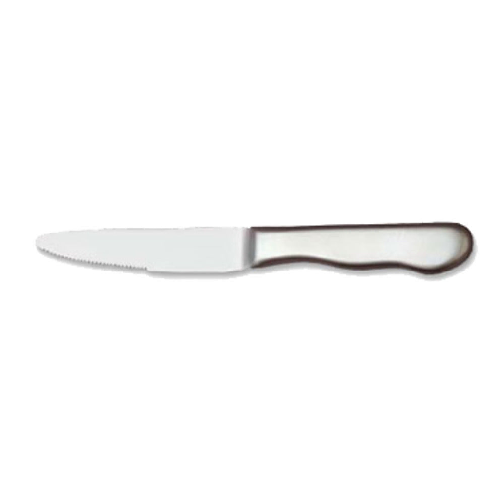 Libbey 195 2492 (Formerly World Tableware) Steak Knife 10" Round Tip