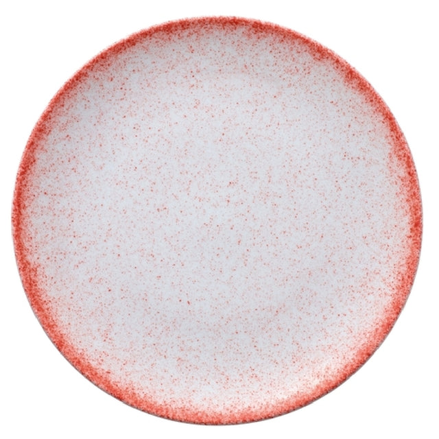 Bauscher Hepp 711228-730250 - Plate, 11" Dia., Round