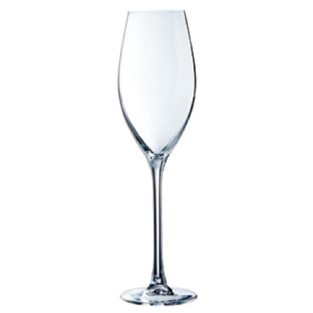 Arc Cardinal E6250 Champagne Flute Glass 8 Oz. Glass