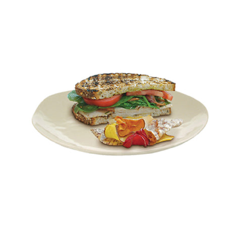 FOH DDP043NAB22 Platewise® Organic Plate 10-1/2" Dia. Round