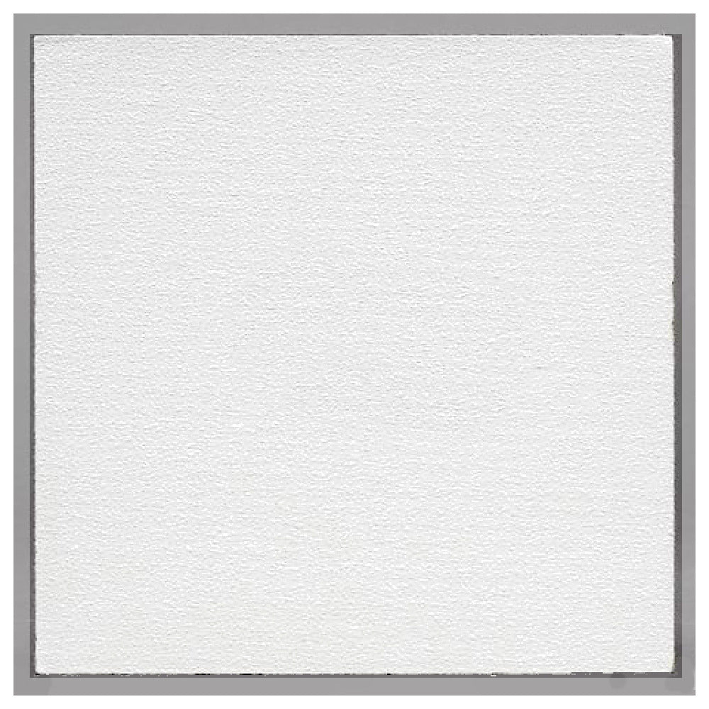 Franklin Machine Products 159-1176 Ceiling Tile 2 X 4' X 1/2" Vinyl