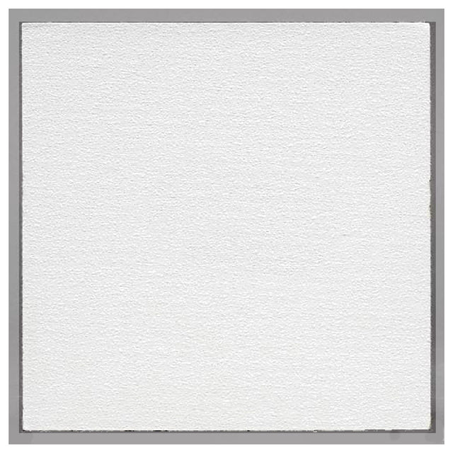 Franklin Machine Products 159-1176 Ceiling Tile 2 X 4' X 1/2" Vinyl